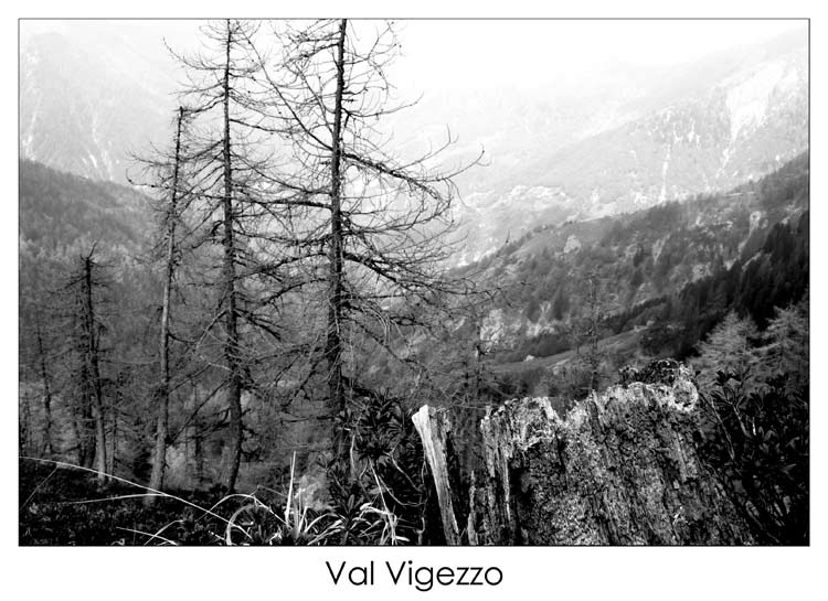 vv02.jpg