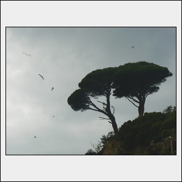 w01.jpg