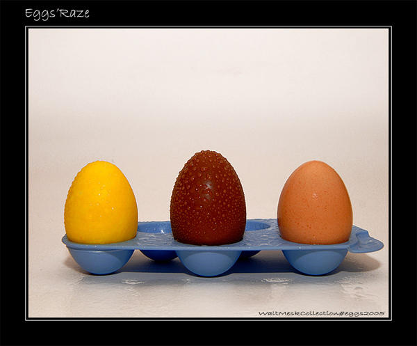 WAL_5433-2-800web2.jpg
