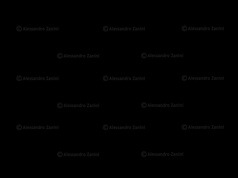 watermark.jpg