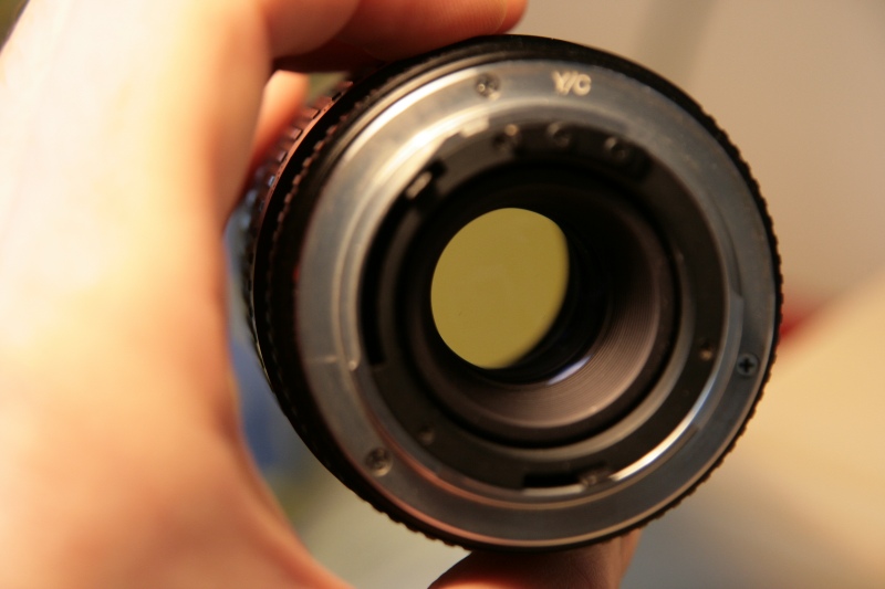 web_img_5406.jpg
