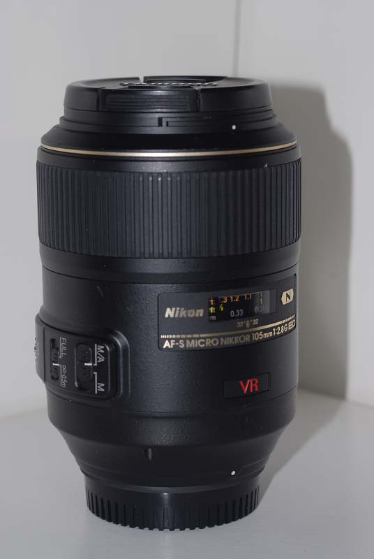web_PIN2798.jpg