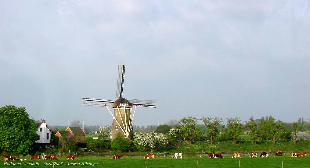 Windmill.jpg