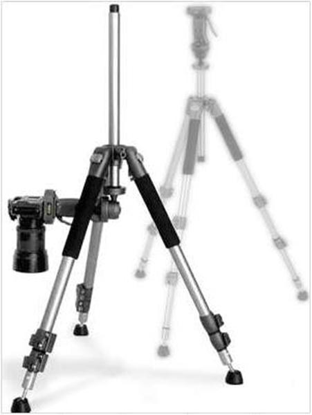 wt011_04 (Medium).jpg