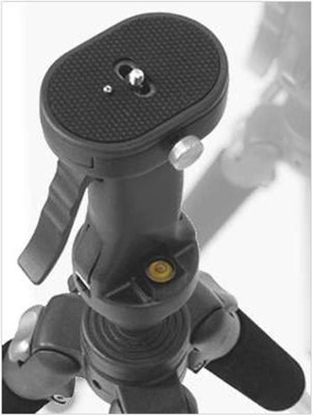 wt011_05 (Medium).jpg