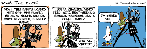 WTD42.gif