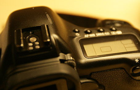 XA6T5957.jpg