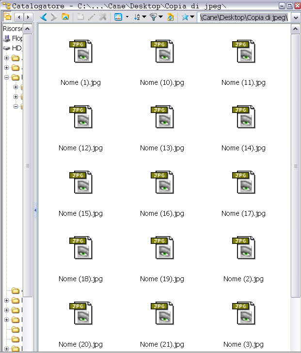 XnView.jpg