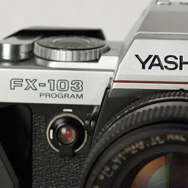 ya-crop-2.8.jpg