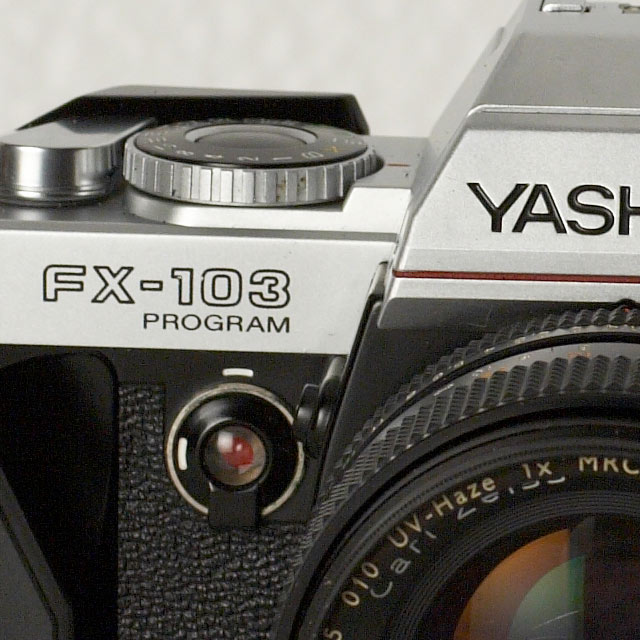 ya-crop-8.jpg