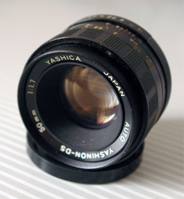 yashi01.jpg