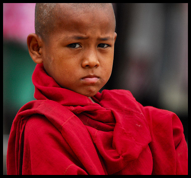 youngmonkburma.jpg
