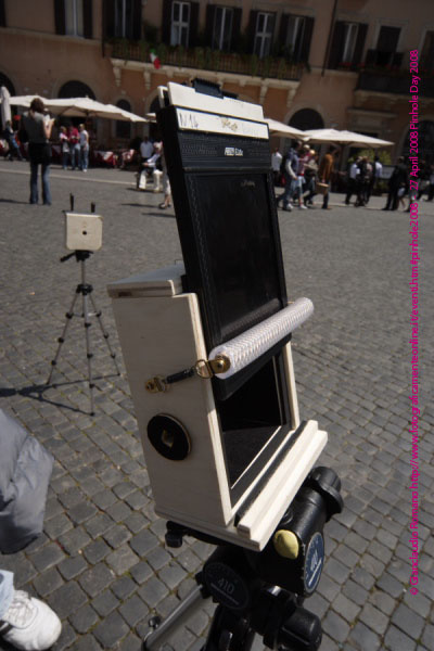 YQ9I8546.jpg