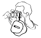 z2.gif