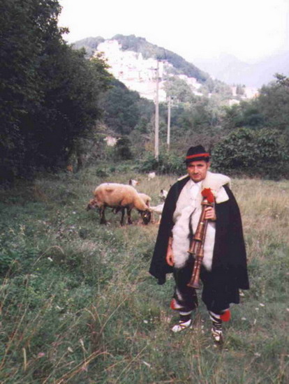 zamp12.jpg