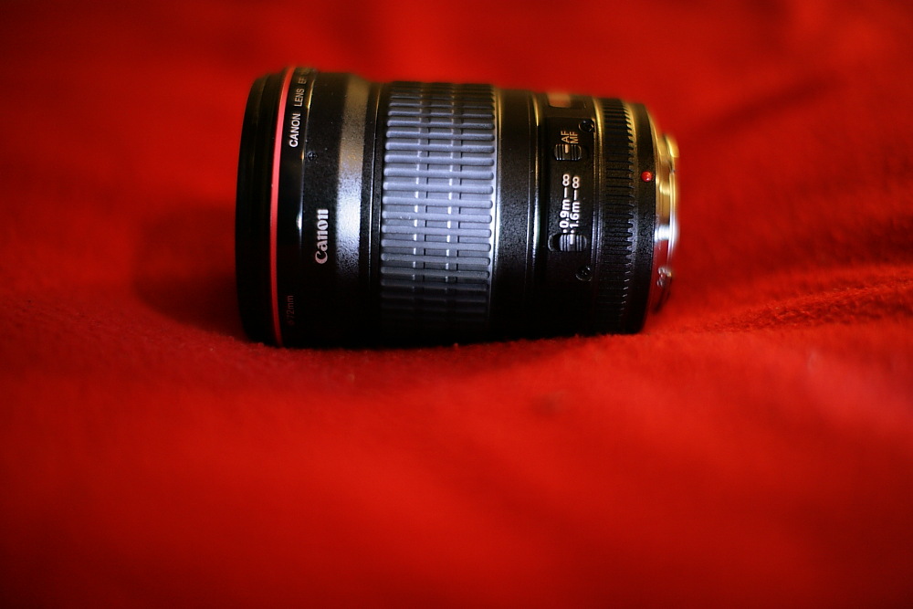 ZE9R7787.JPG