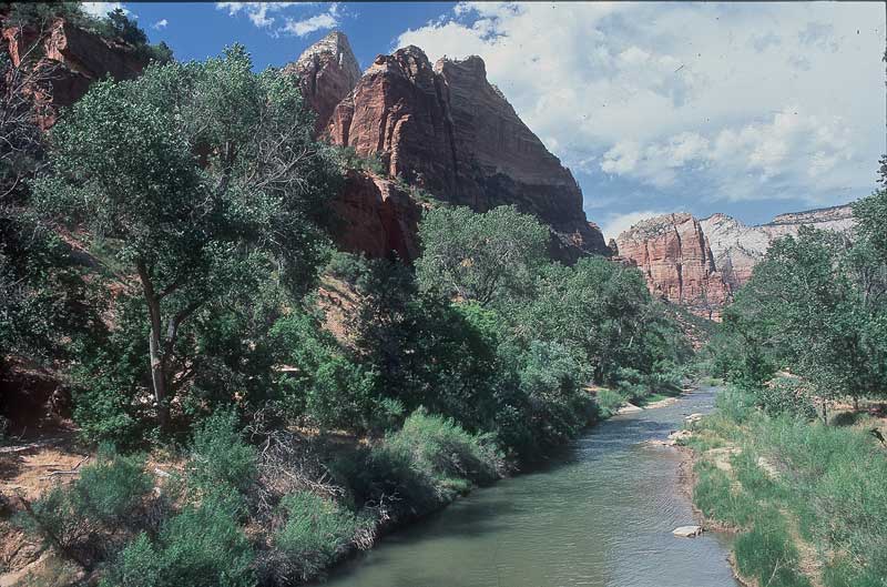 Zion-National-Park-web.jpg