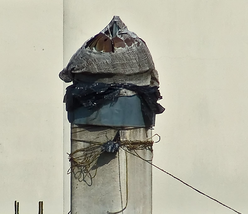 zoom-2-crop.jpg