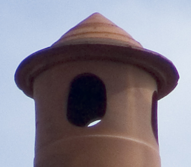 zoom-norm-crop.jpg