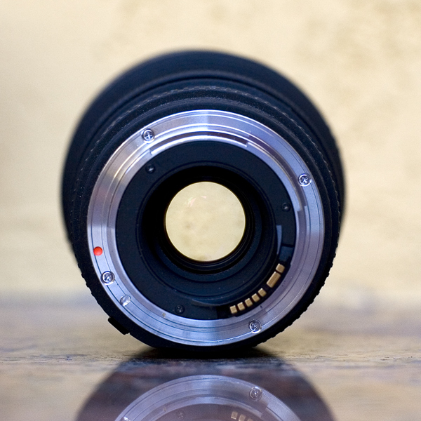 zoom3.jpg