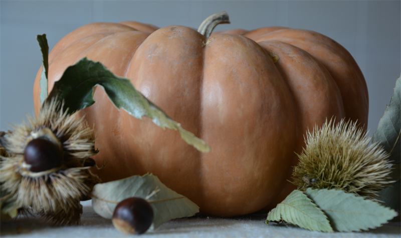 zucca2.jpg