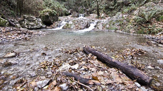 zzDSC_0087_1.jpg
