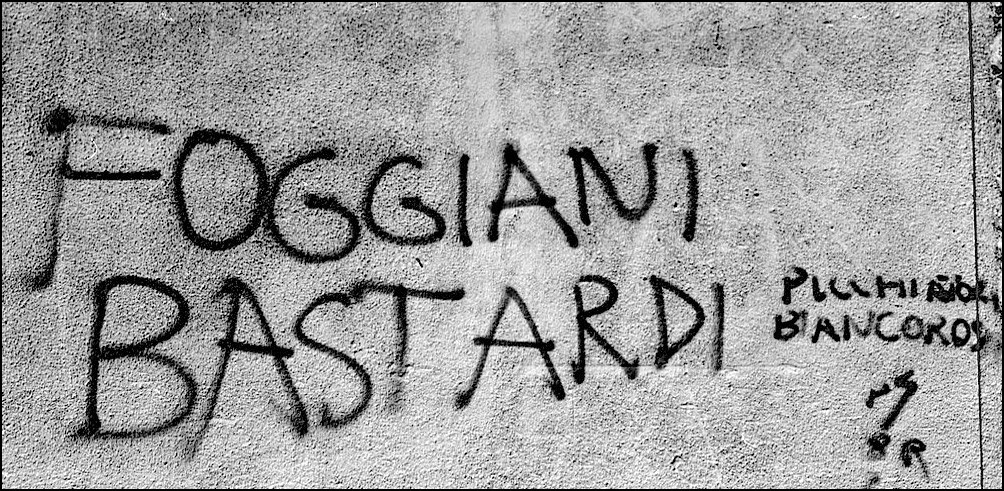 Foto: 15