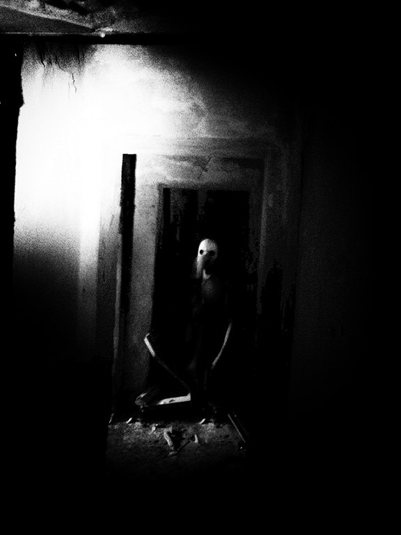 Foto: 8