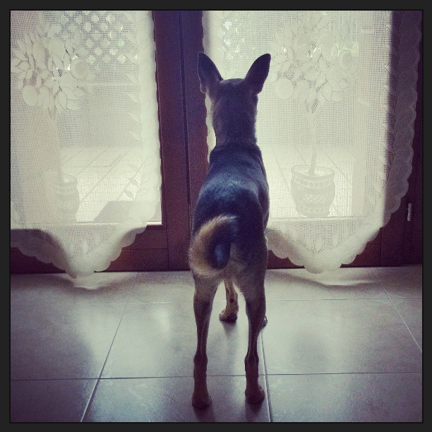 Foto: 4