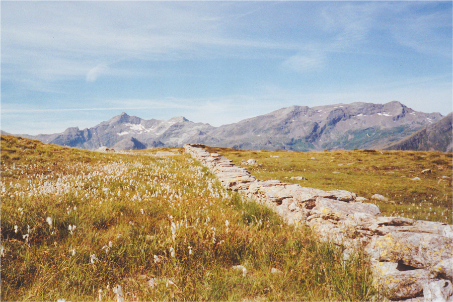 Foto: 2