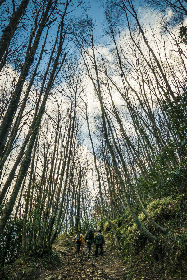 Foto: 6