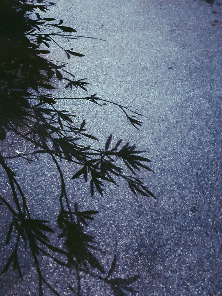 Foto: 5