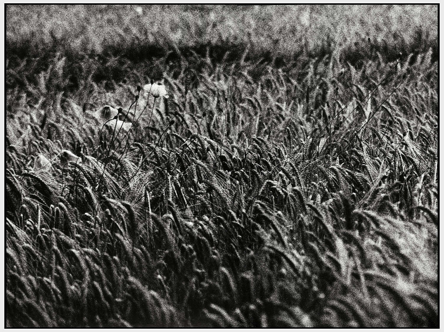 Foto: 5