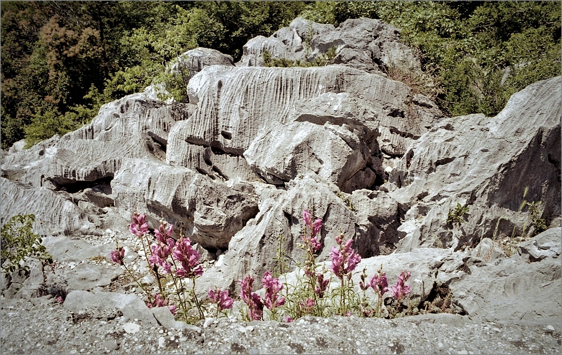 Foto: 15